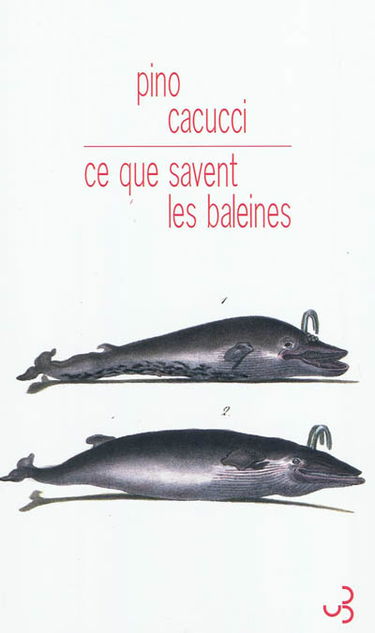 Ce que savent les baleines