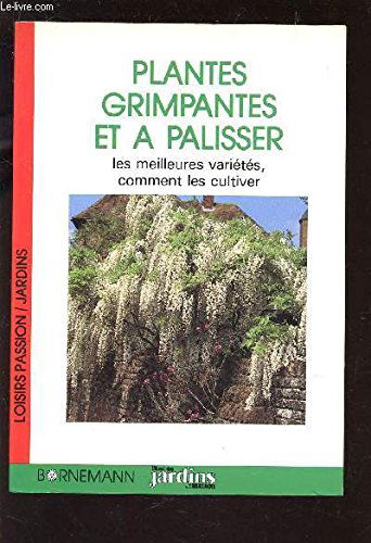 Plantes grimpantes et à palisser : les meilleures variétés, comment les cultiver