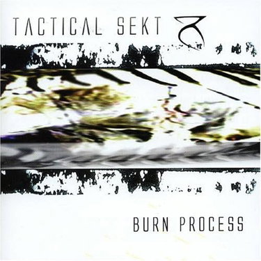 Couverture de Burn Process [Import] par Tactical Sekt