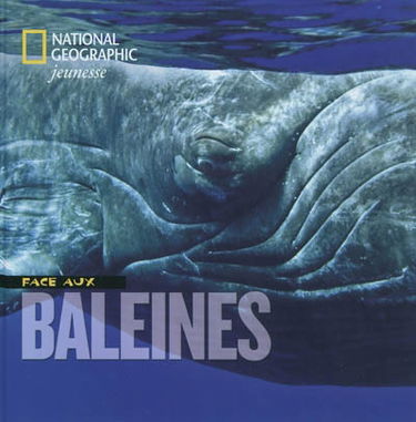 Face aux baleines