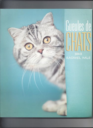 Gueules de chats
