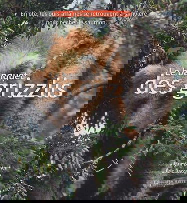 Le Banquet Des Grizzlis