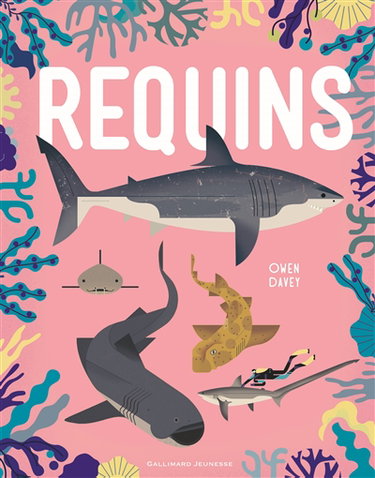 Couverture de Requins