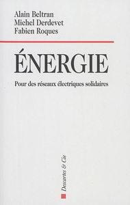 Energie : pour des réseaux électriques solidaires
