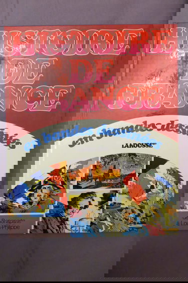 Histoire de France en bandes dessinées. Vol. 6. De Bonaparte à Louis Philippe