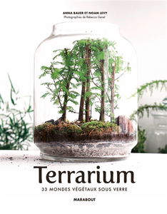 Terrariums : les mondes végétaux sous verre