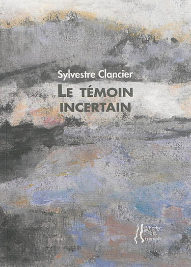 Couverture de Le témoin incertain
