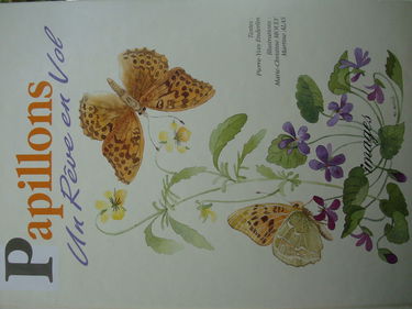 Le Chant des baleines