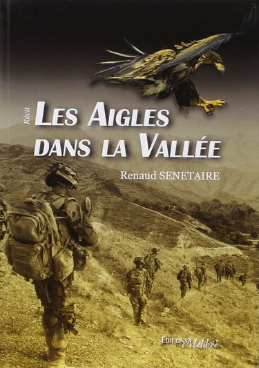 Les aigles dans la vallée