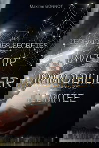 LES TECHNIQUES SECRÈTES POUR INVESTIR DANS L’IMMOBILIER DE MANIÈRE ILLIMITÉE