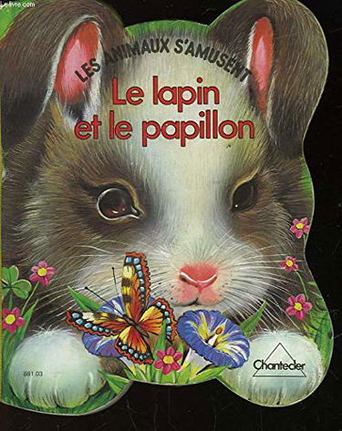 Lapin et papillon