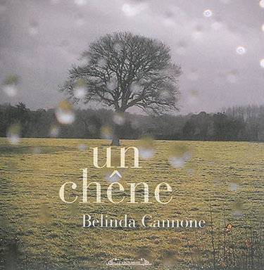 Couverture de Un chêne