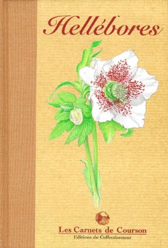 Les hellébores