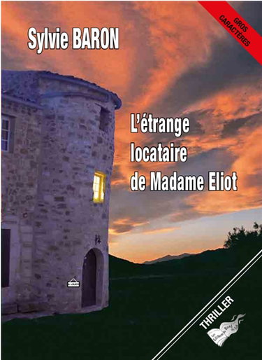 Couverture de L'étrange locataire de madame Eliot : thriller