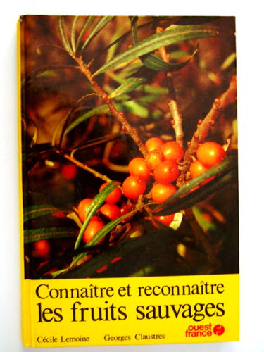 Connaître et reconnaître les fruits sauvages.