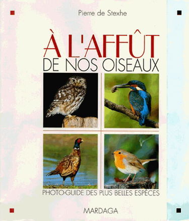 A l'affût de nos oiseaux : photo-guide des plus belles espèces