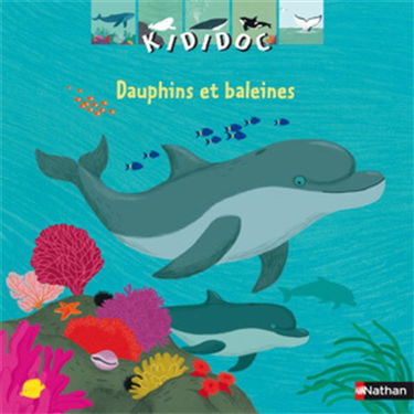 Dauphins et baleines