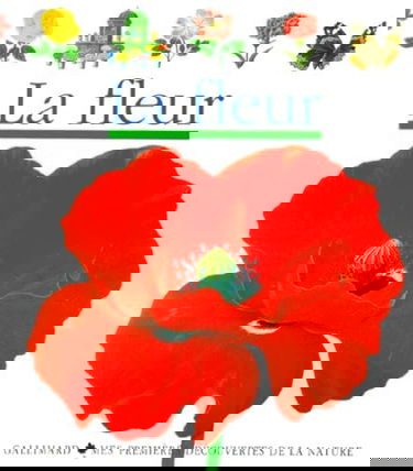 La fleur