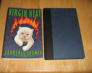 Couverture de Virgin Heat