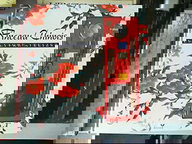 LIVRE ATELIER PINCEAU CHINOIS