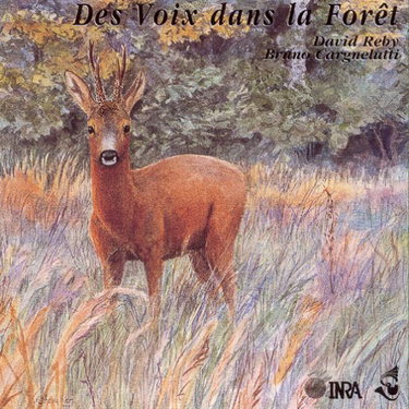 Couverture de Voix dans la Foret-Un Guide Sonore des [Import]