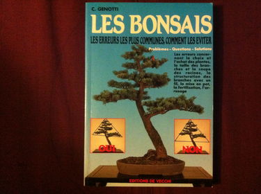 Les bonsaïs : les erreurs les plus communes, comment les éviter, problèmes, questions, solutions