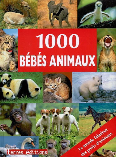 1.000 bébés animaux