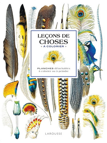 Couverture de Leçons de choses à colorier : planches détachables à colorier ou à peindre