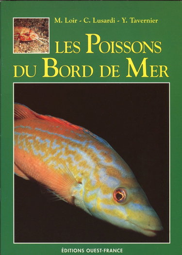 Couverture de Les Poissons du bord de mer