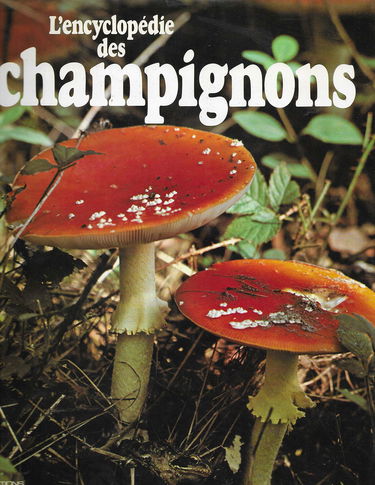 Encyclopedie Des Champignons