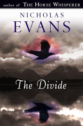 Couverture de The Divide