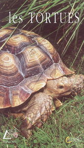 Les tortues