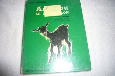 Amadou le Bouquillon : C.E.2