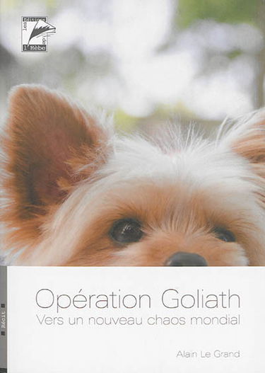 Opération Goliath : vers un nouveau chaos mondial