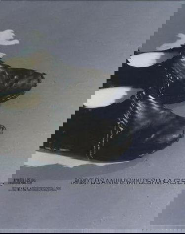 Patrick Tosani au-devant des images