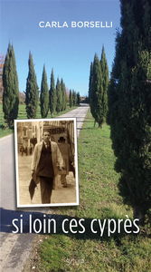 Si loin ces cyprés