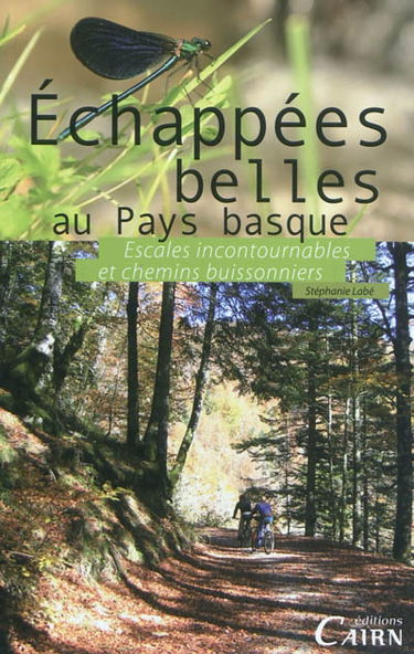 Echappés belles au Pays basque : escales incontournables et chemins buissonniers