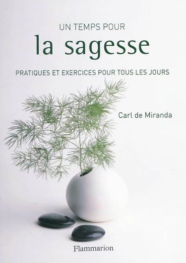 Un temps pour la sagesse : pratiques et exercices pour tous les jours