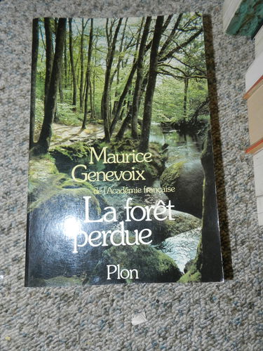 La foret perdue