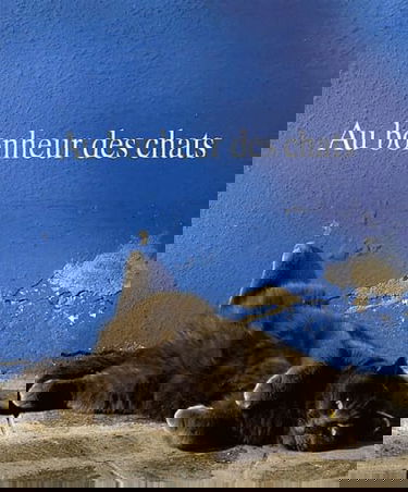 Au Bonheur Des Chats