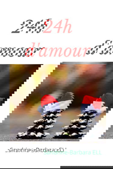 24h d'amour