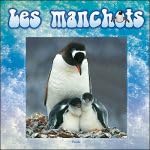 Les manchots