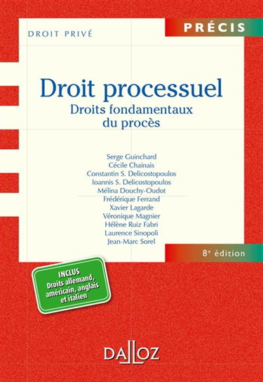 Droit processuel : droits fondamentaux du procès