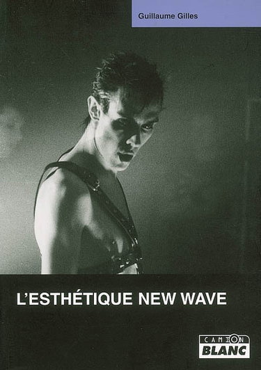 Couverture de L'esthétique new wave