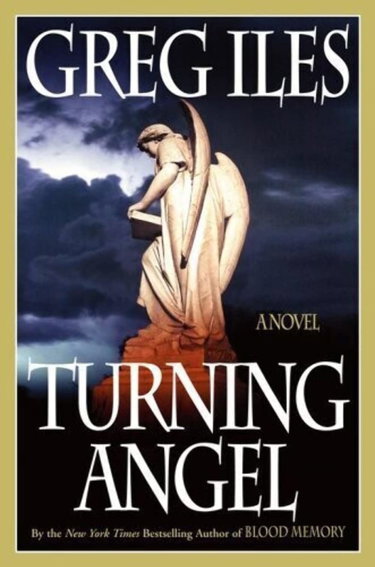 Couverture de Turning Angel