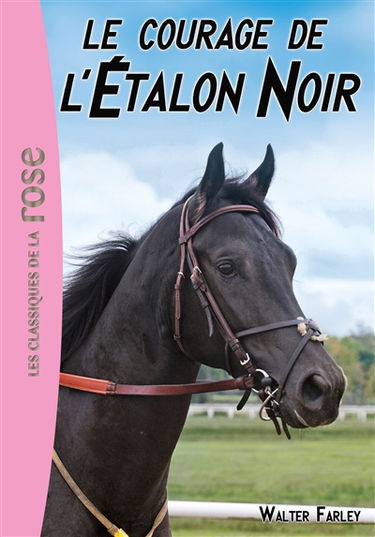 L'étalon noir. Vol. 13. Le courage de l'étalon noir