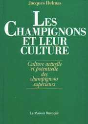 Couverture de Les Champignons et leur culture : culture actuelle et potentielle des champignons supérieurs