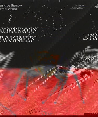 Portraits d'araignées