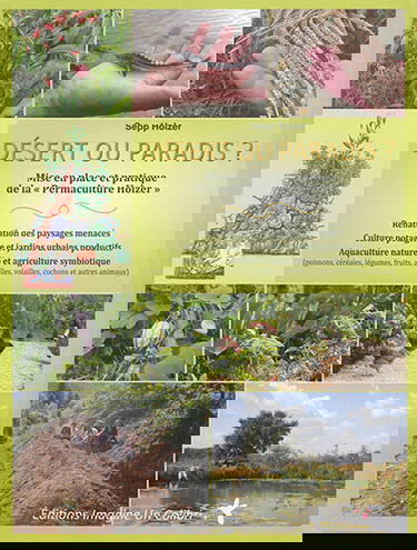 Désert ou paradis ? : mise en place et pratique de la Permaculture Holzer : renaturation des paysages menacés, culture potagère et jardins urbains productifs, aquaculture naturelle et agriculture symbiotique (poissons, céréales, légumes, fruits, abeilles,