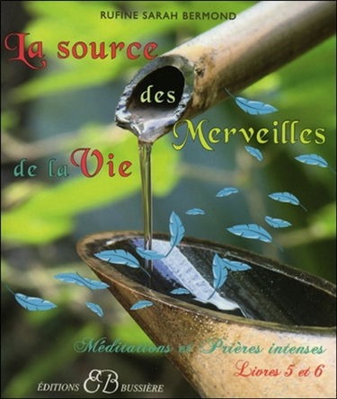 Mes pouvoirs secrets : méditations et prières intenses. Vol. 3. Livres 5 et 6 : la source des merveilles de la vie : de la pensée à la création